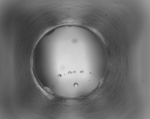 X0000073481383200608140805