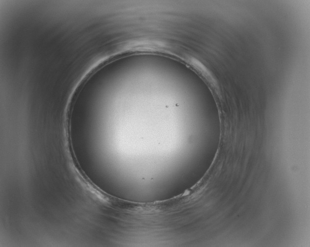 X0000073481384200608140805