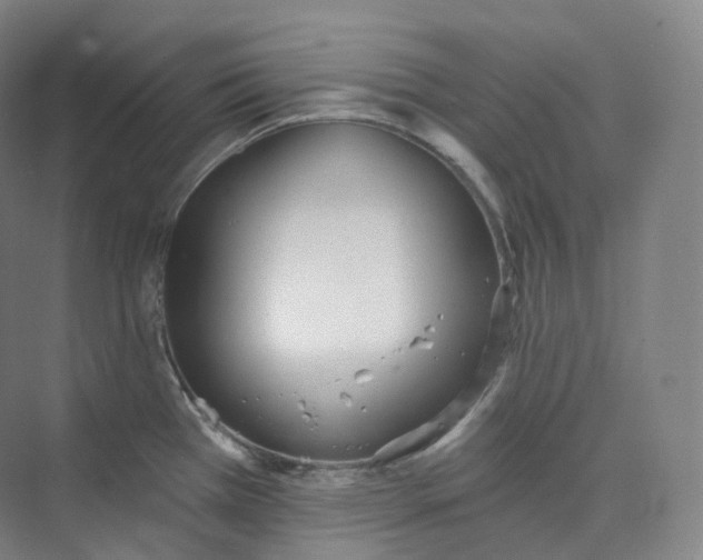 X0000073481385200608140805