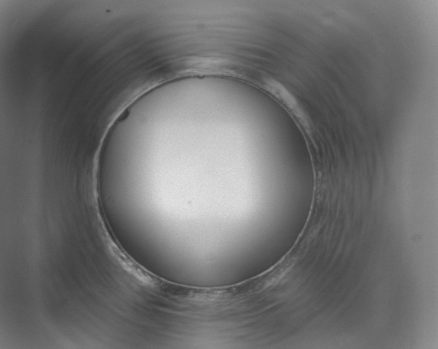 X0000073481386200608140805