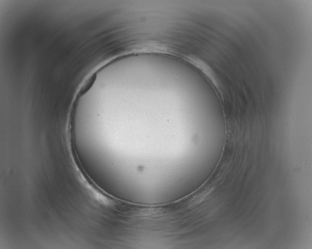 X0000073481387200608140805