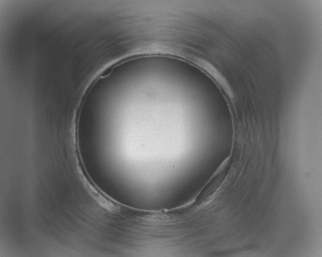 X0000073481388200608140805