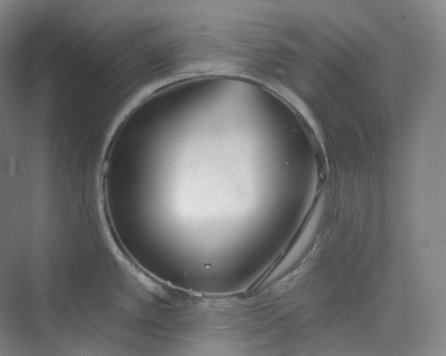 X0000073481389200608140805