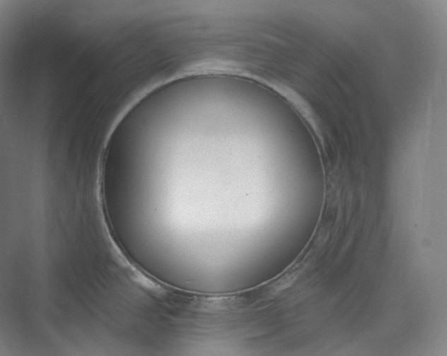 X0000073481390200608140805