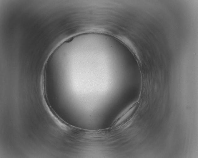 X0000073481391200608140805