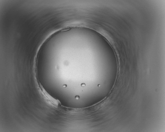 X0000073481392200608140805