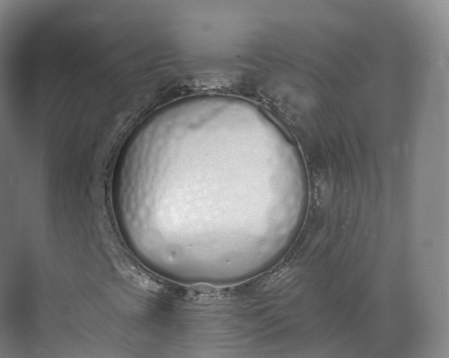 X0000073481393200608140804