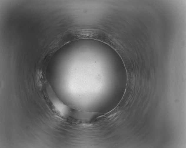 X0000073481394200608140804