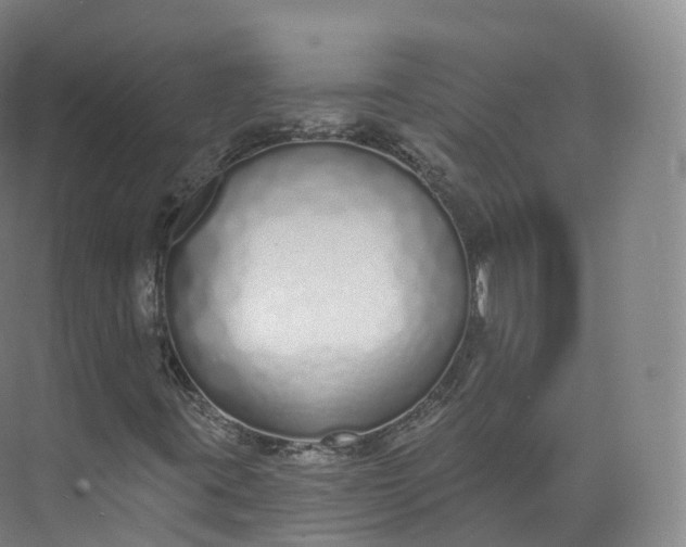 X0000073481395200608140804