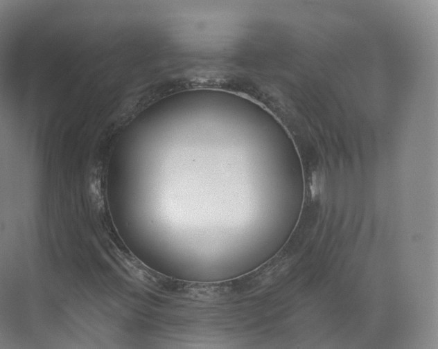 X0000073481396200608140804