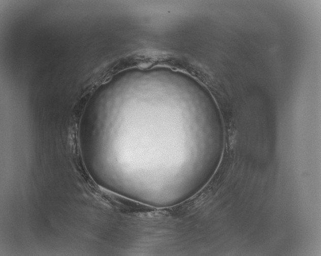 X0000073481397200608140804