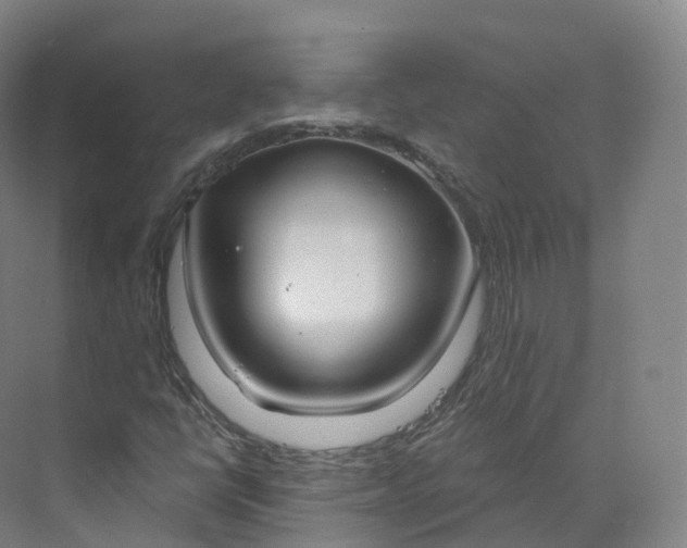 X0000073481398200608140804