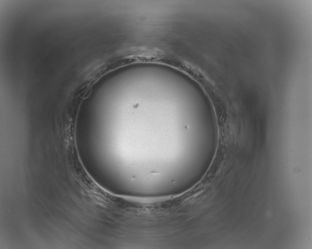 X0000073481399200608140804