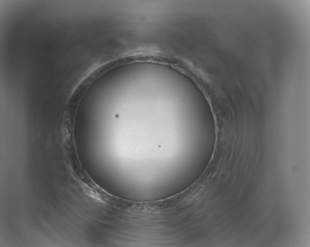 X0000073481400200608140804