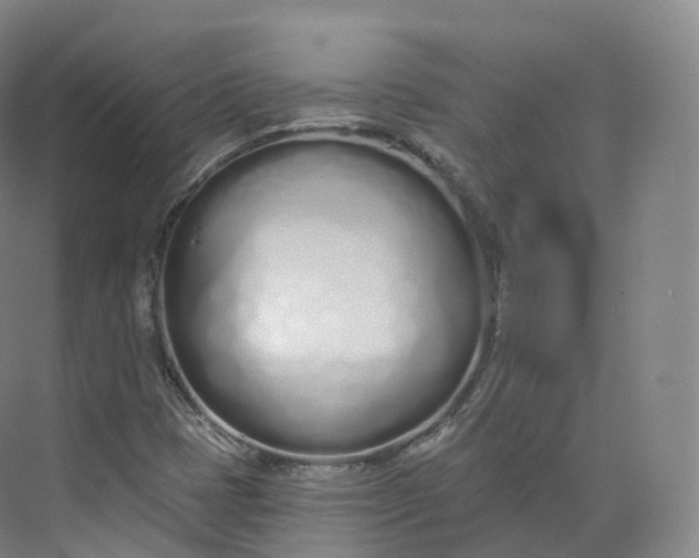 X0000073481401200608140804