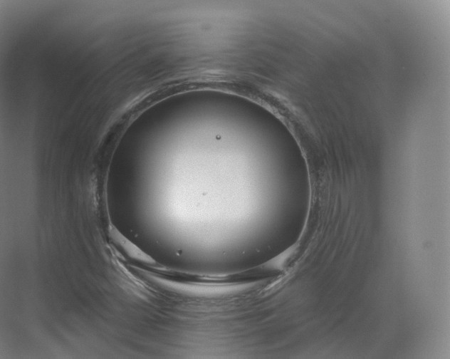 X0000073481402200608140804