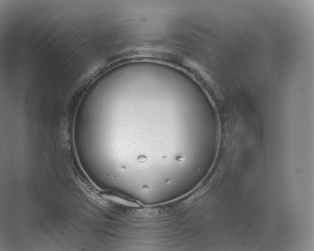 X0000073481403200608140804