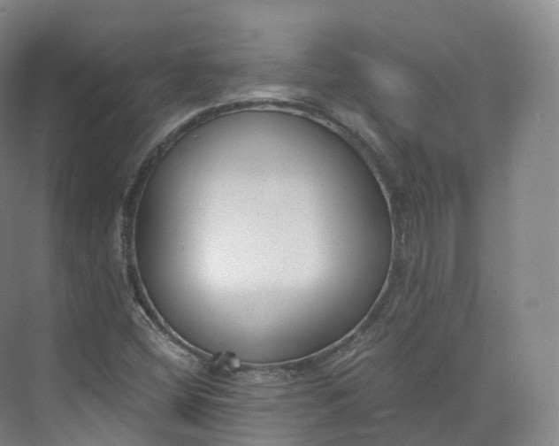 X0000073481404200608140804