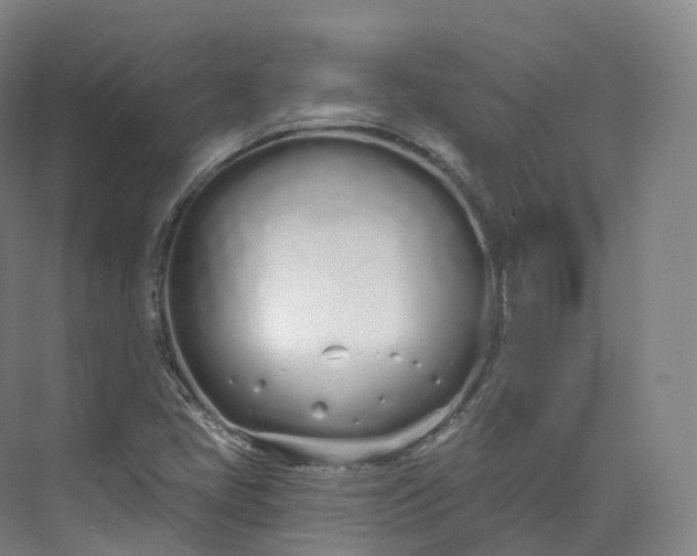 X0000073481405200608140804