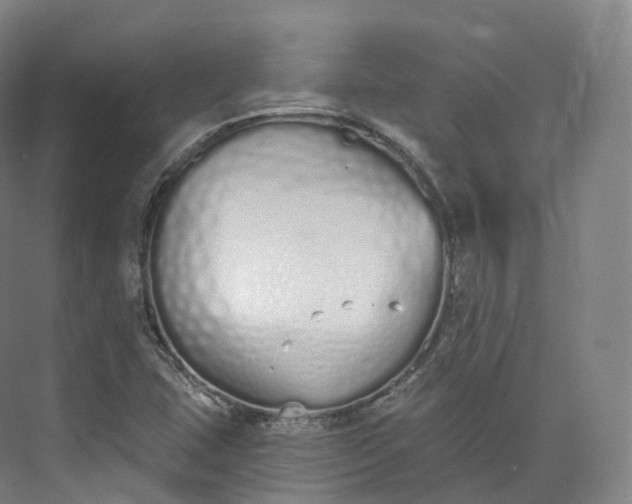 X0000073481407200608140804