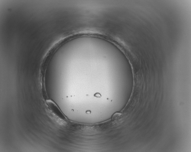 X0000073481408200608140804