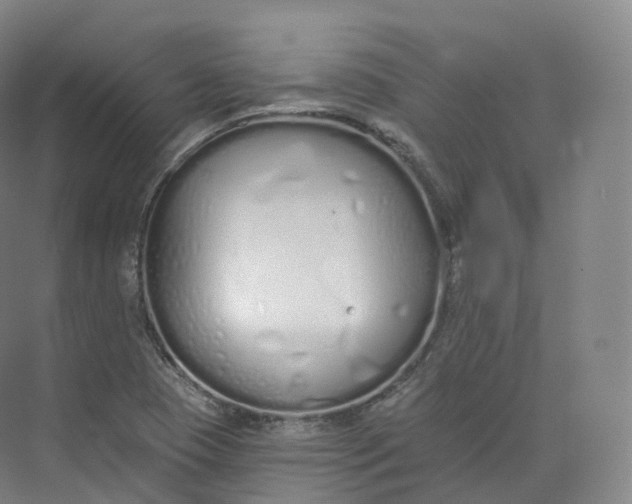 X0000073481409200608140804