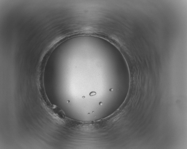 X0000073481410200608140804