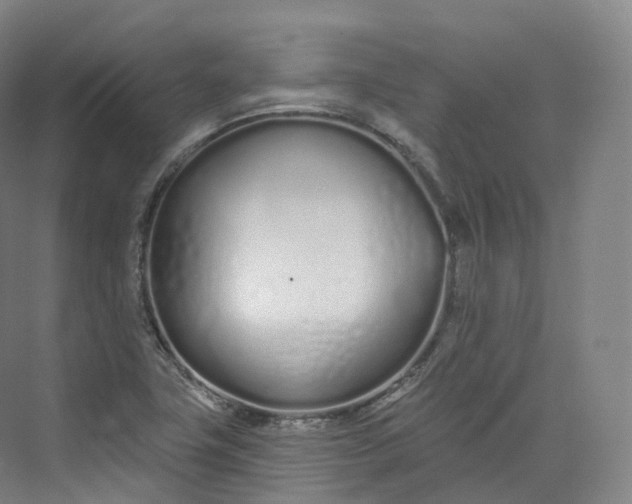 X0000073481411200608140804