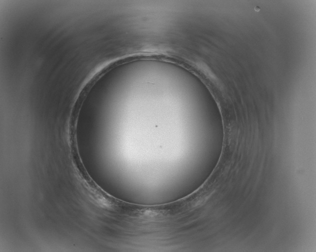 X0000073481412200608140804