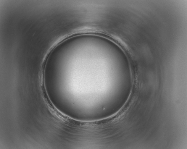 X0000073481413200608140804