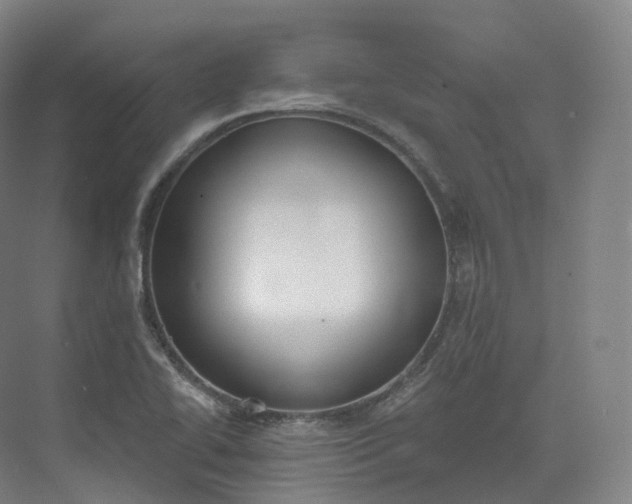 X0000073481414200608140804