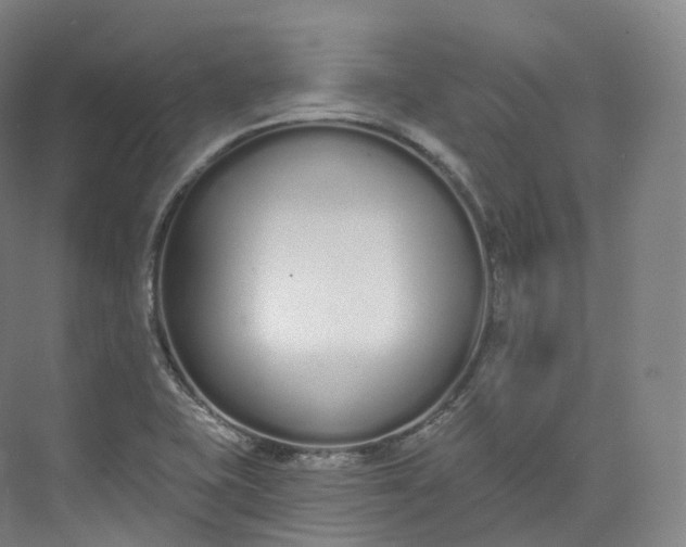 X0000073481415200608140804