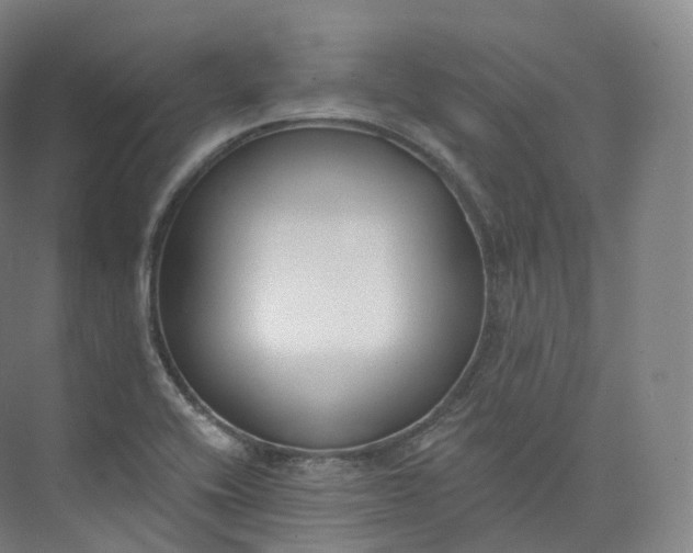 X0000073481416200608140804