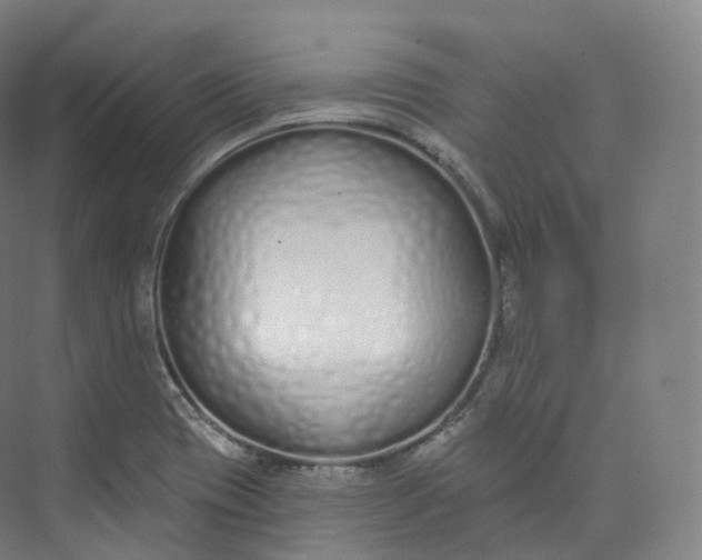 X0000073481417200608140804