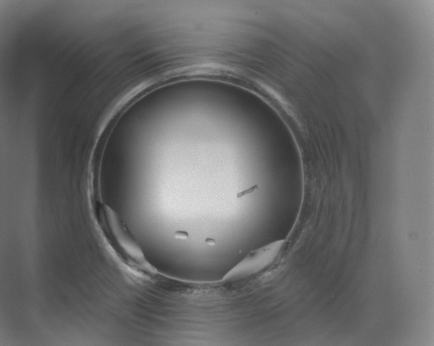 X0000073481418200608140804