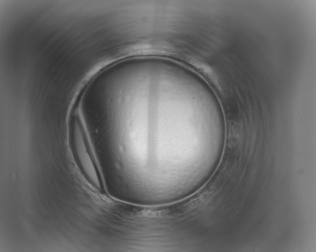 X0000073481419200608140804