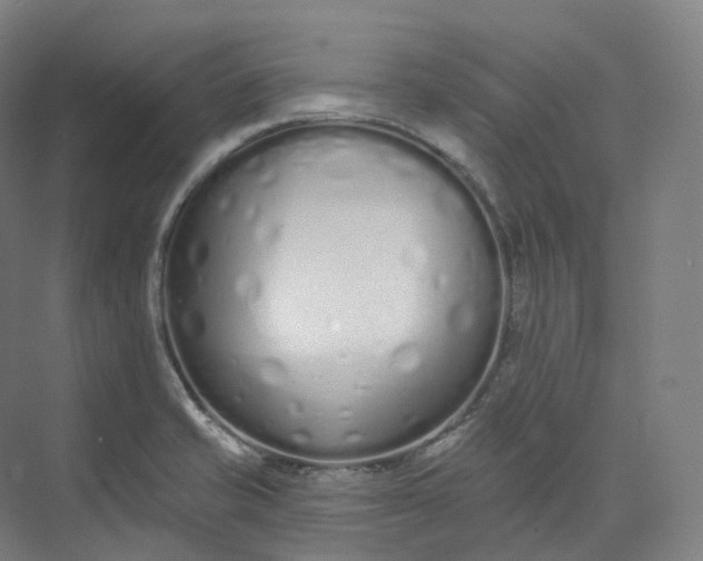 X0000073481421200608140804