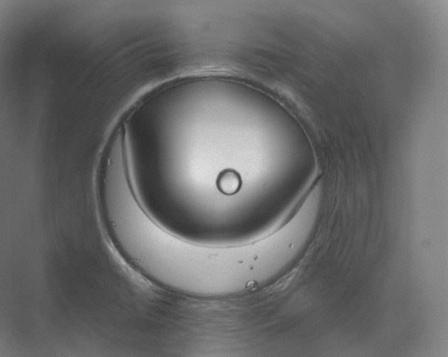 X0000073481422200608140804