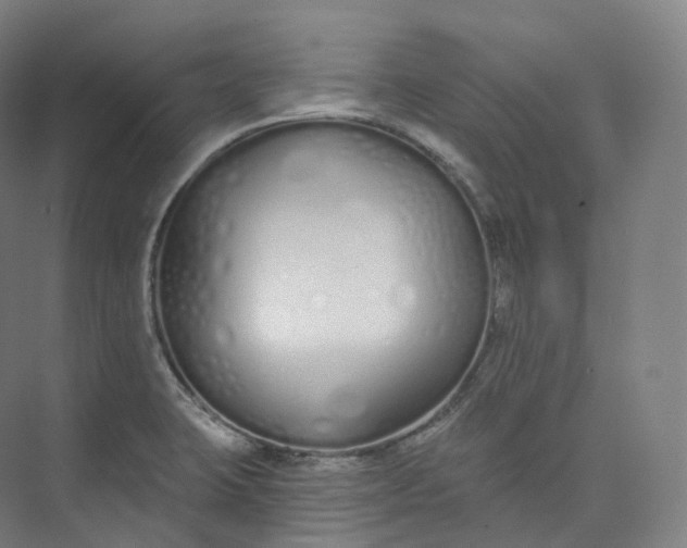 X0000073481423200608140804