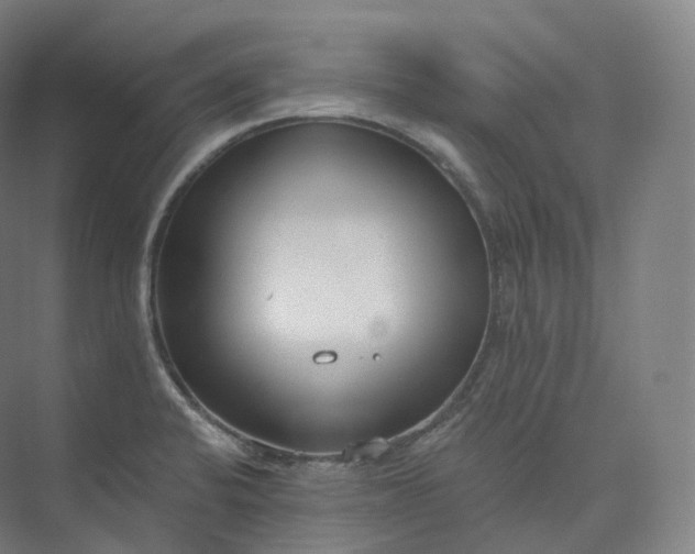 X0000073481424200608140804