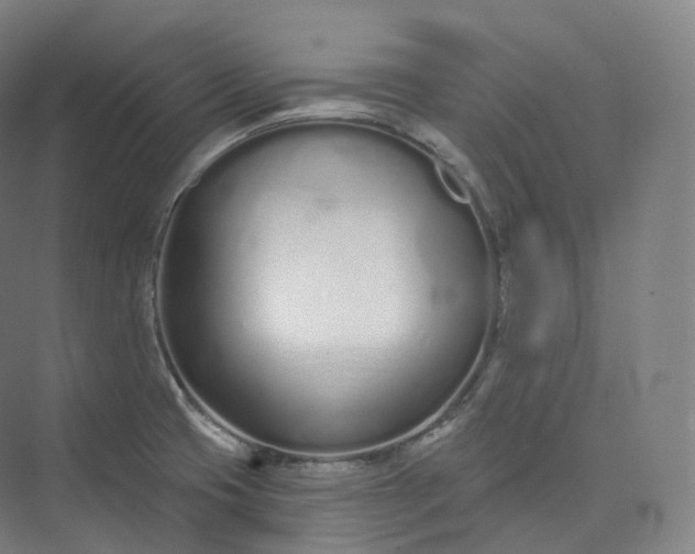 X0000073481425200608140804