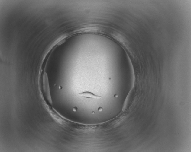 X0000073481426200608140804