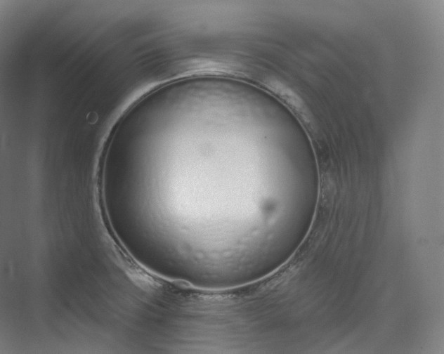 X0000073481427200608140804