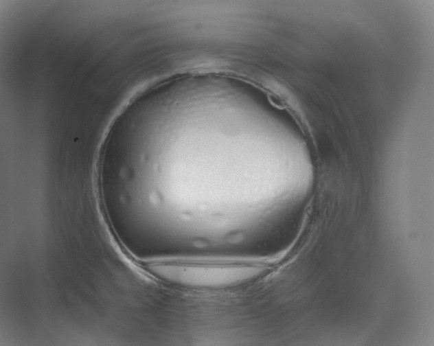 X0000073481429200608140804