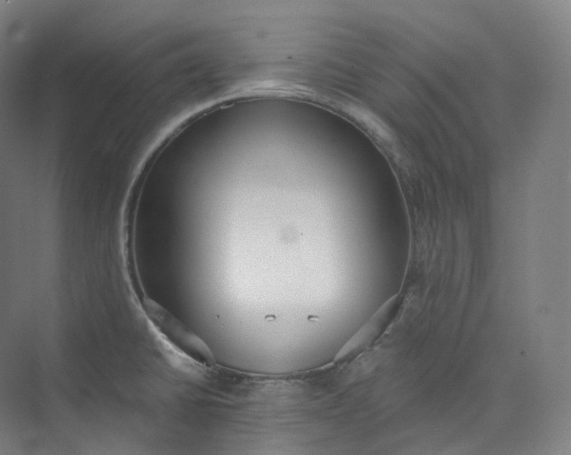 X0000073481430200608140804