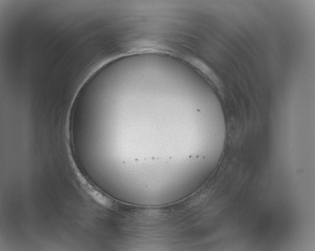 X0000073481431200608140805