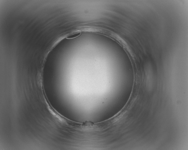 X0000073481433200608140805