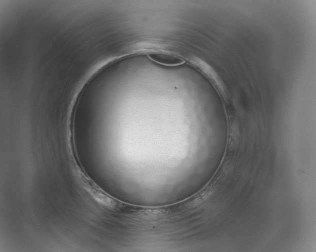 X0000073481435200608140805