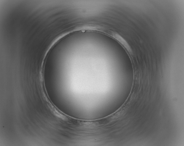 X0000073481436200608140805