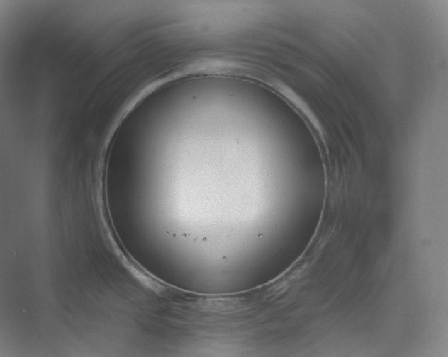 X0000073481437200608140805